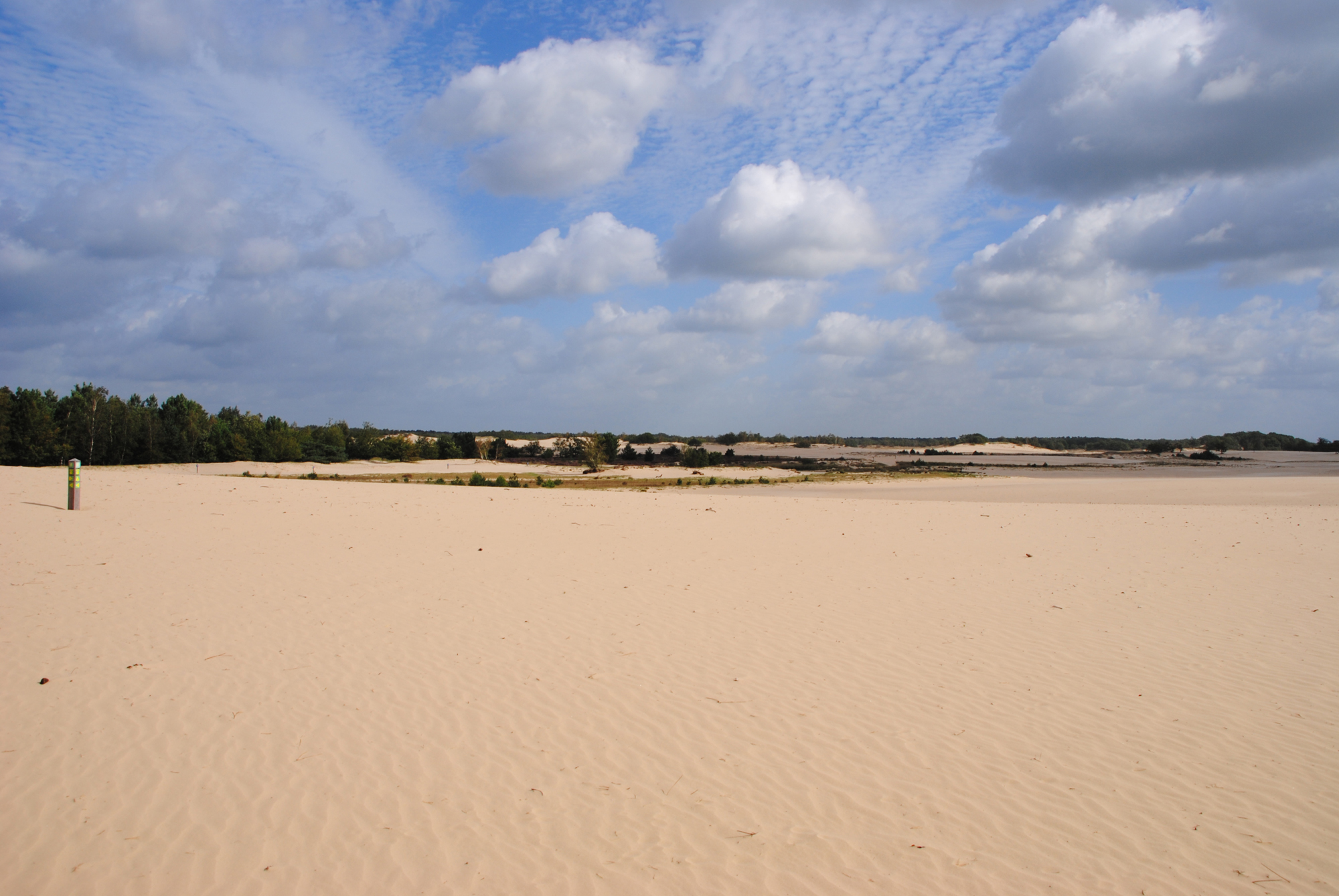 Camping De Zandley — photo 2