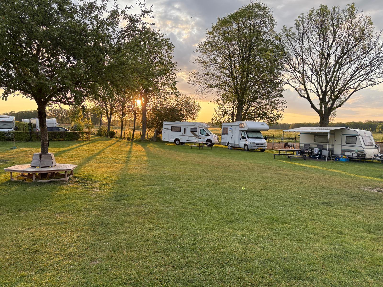 Camping De Zandley — photo 3